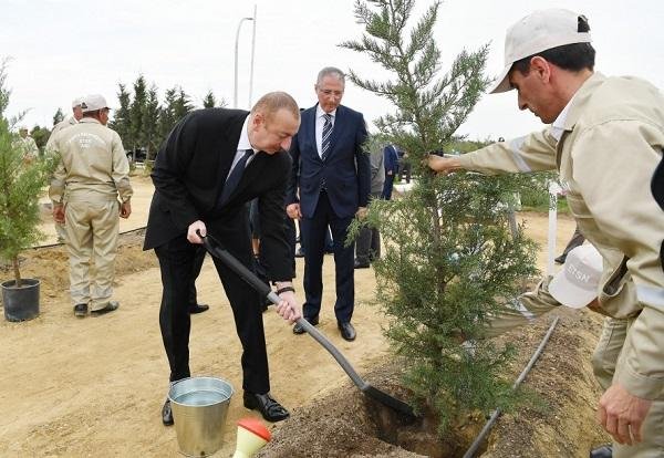 Президент и его семья на акции по посадке деревьев - Фото