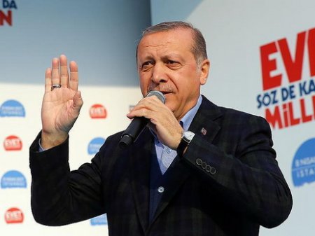 Турция не позволит террористам обосноваться у своих границ - Эрдоган