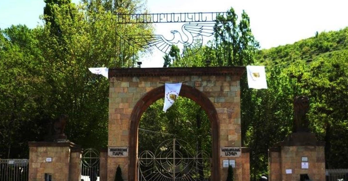 После "революции" Ереванский зоопарк начал вымирать - совпадение?