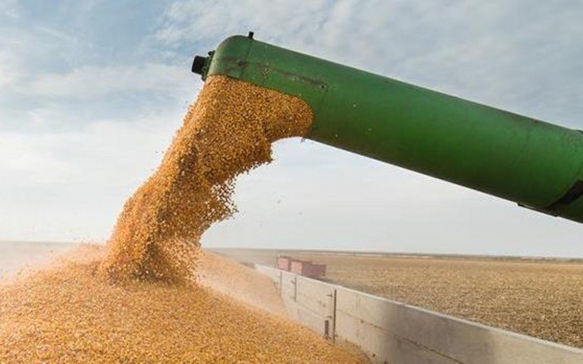 В портах Украины готовятся к вывозу зерна