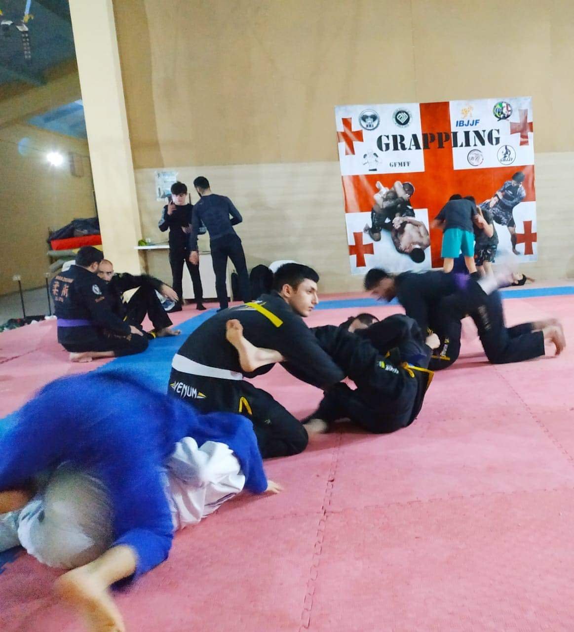 Rustavidə Braziliya Ciu-Citsu növü üzrə beynəlxalq turnir keçirilib - Fotolar
