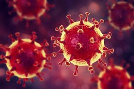 Bir gecədə 14 min adam koronavirusa yoluxdu