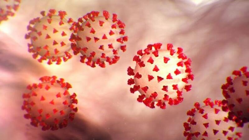 Koronavirus: kimlər üçün təhlükəlidir? Koronavirus: kimlər üçün təhlükəlidir?
