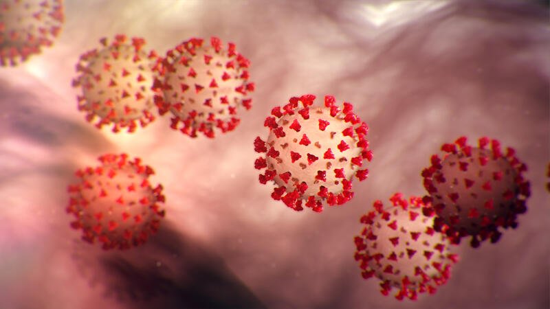 SON DƏQİQƏ: Azərbaycanda daha 40 koronavirusa yoluxma qeydə alındı, 50 nəfər sağaldı