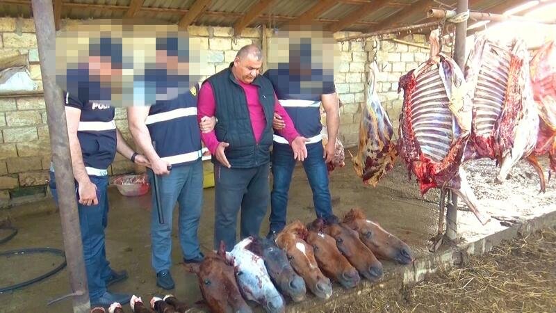 Ölü at ətini Bakıda restoran və kafelərə satan şəxslər həbs edildi - FOTO/VİDEO Ölü at ətini Bakıda restoran və kafelərə satan şəxslər həbs edildi - FOTO/VİDEO