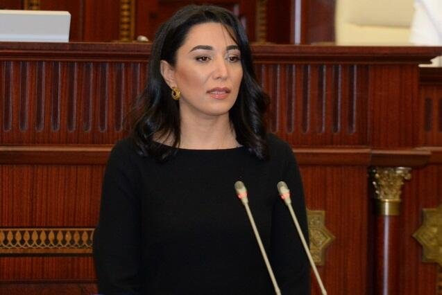 Ombudsman Səbinə Əliyeva fəaliyyətini dondurdu