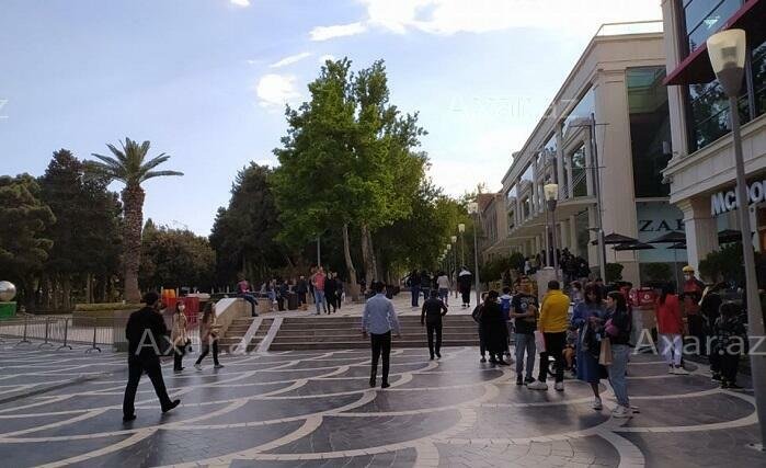 1227 yoluxma, 12 ölüm faktı