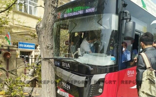 “Bakı Bus” avtobusu ağaca çırpıldı: yaralılar var - Foto