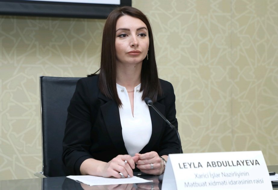 Leyla Abdullayeva beynəlxalq təşkilatlara çağırış etdi