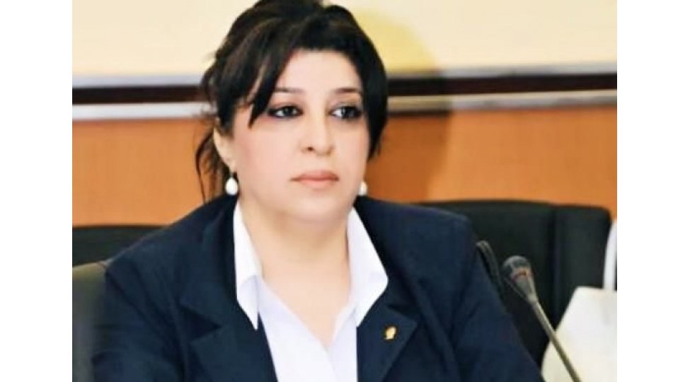 Polis Günü: Azərbaycanın keşikçiləri haqqında düşüncələr