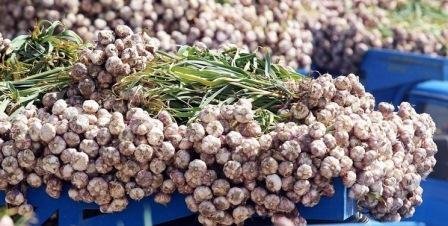 Gündə 2 diş: ömrü 10 il uzada bilər...