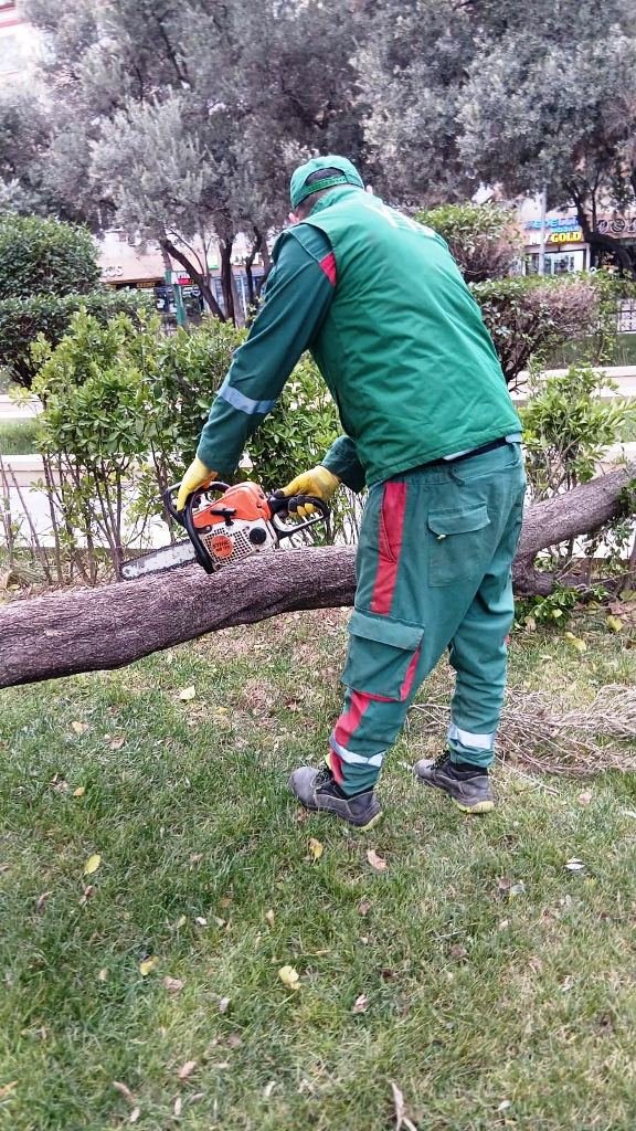 YTB əməkdaşları gücləndirilmiş iş rejimində çalışırlar